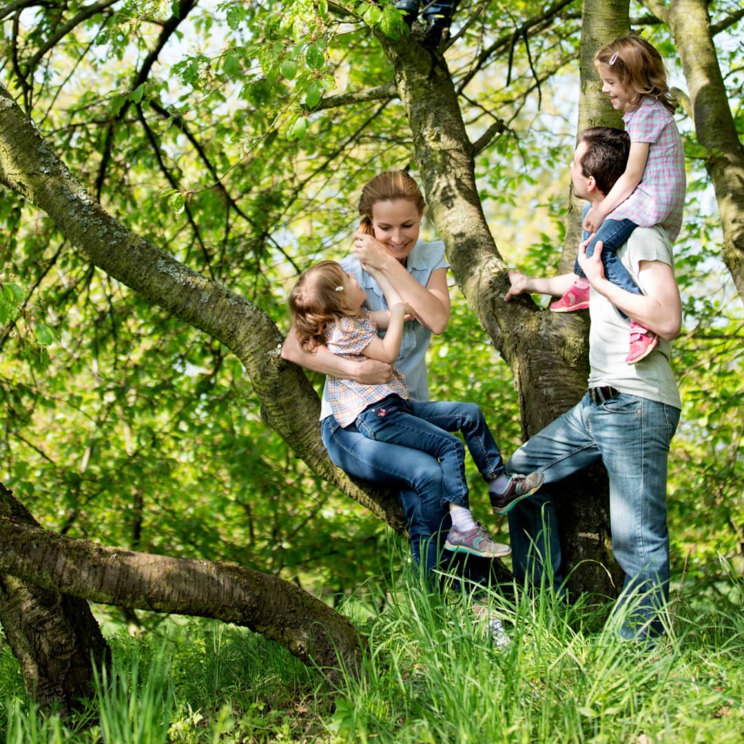 Familie klettert am Baum im Wald